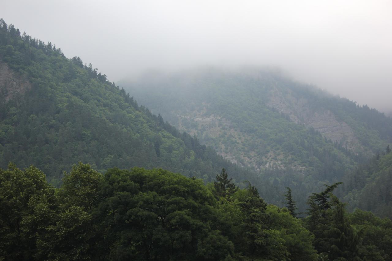 Firuza Hostel Borjomi Exteriör bild